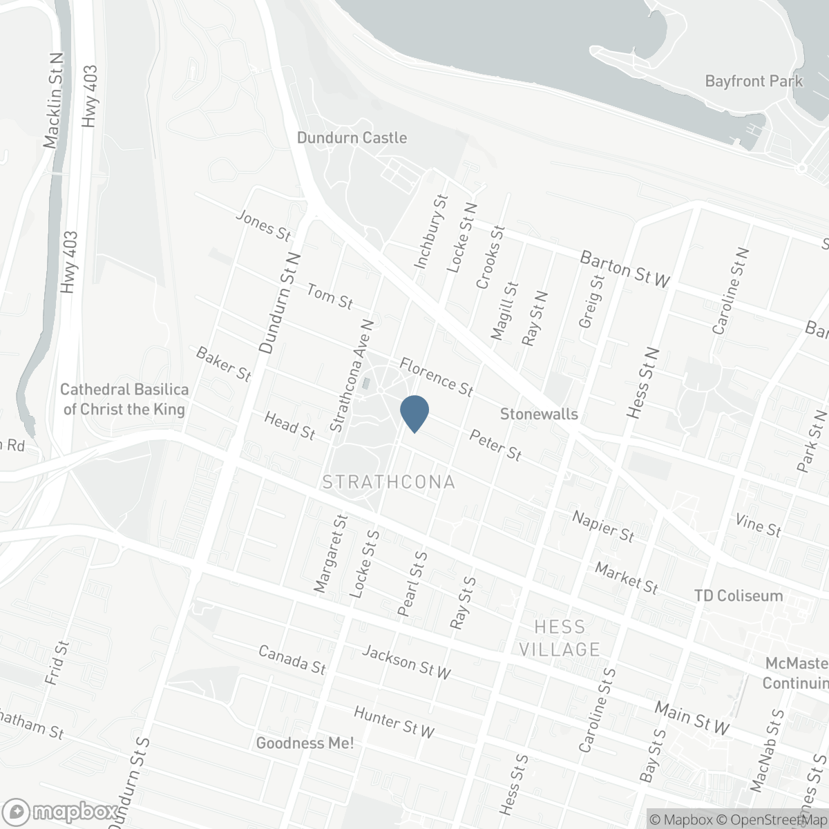 74 LOCKE Street N, Hamilton, Ontario L8R 3A5
